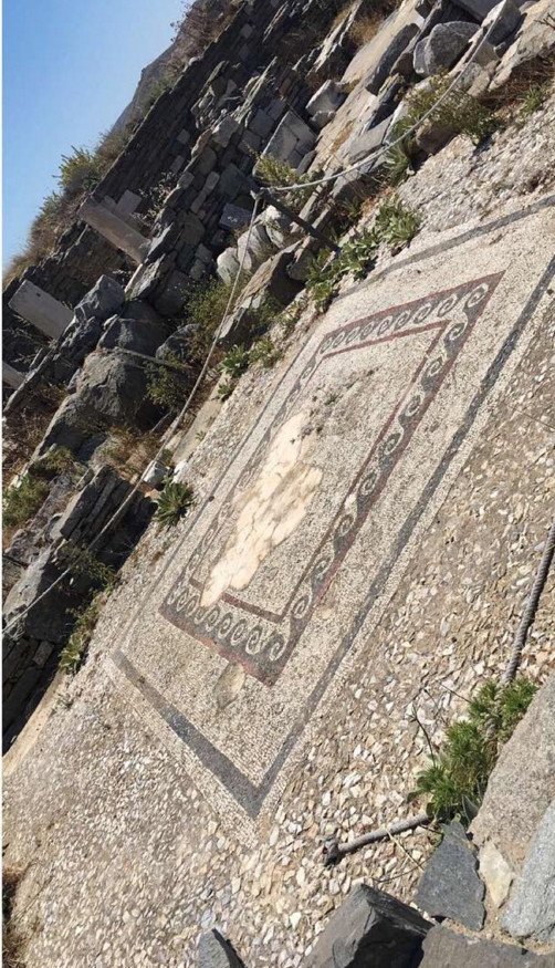 Η Αριάνα Γκράντε ήρθε στη Μύκονο και ξετρελάθηκε με τις κατσίκες [βίντεο] | iefimerida.gr 3