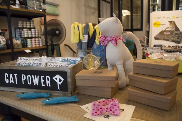 Γκοτιέ, 33 ετών, επάγγελμα ξενοδόχος για γάτες [εικόνες & βίντεο] | iefimerida.gr 1