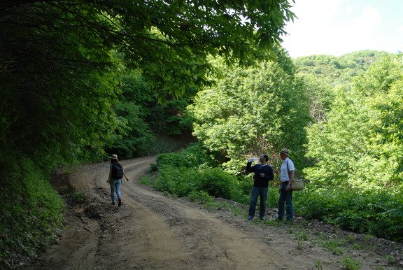 Eκεί που περπατούσε ο Αριστοτέλης -Αναβιώνει ο Περίπατός του στη Χαλκιδική [εικόνες] | iefimerida.gr 2