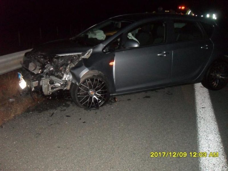 Κοζάνη: Δύο νεκρές αρκούδες μέσα σε λίγες ώρες σχεδόν στο ίδιο σημείο [εικόνες] | iefimerida.gr 1