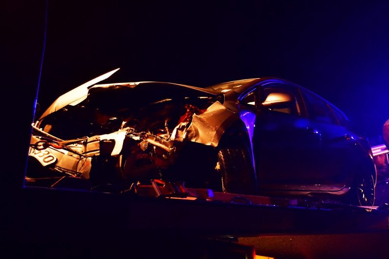 Κοζάνη: Δύο νεκρές αρκούδες μέσα σε λίγες ώρες σχεδόν στο ίδιο σημείο [εικόνες] | iefimerida.gr 0