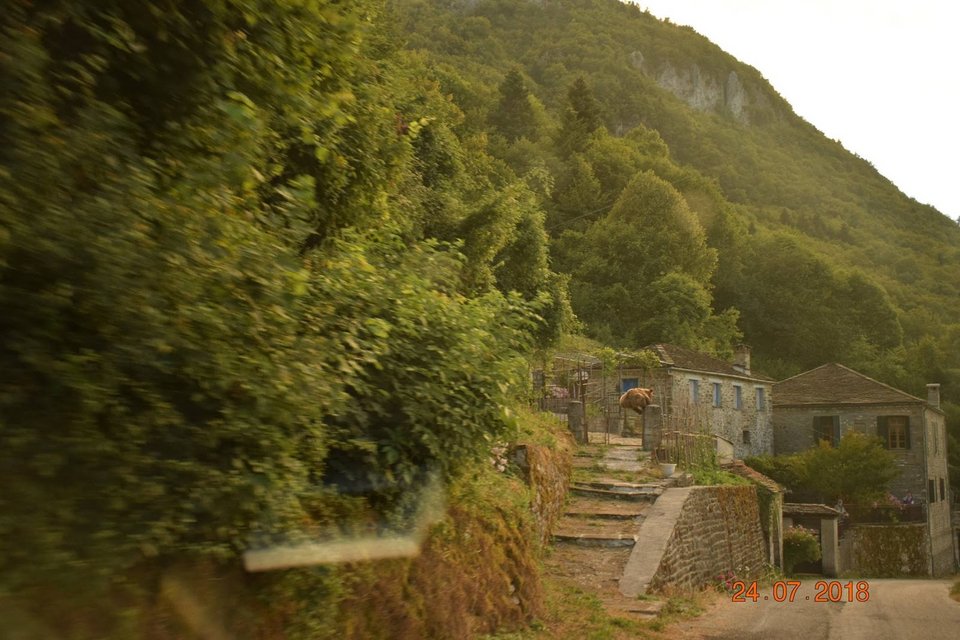 Μοναδικό κλικ! Επιασε «στα πράσα» αρκούδα να πηδά τα κάγκελα σπιτιού στο Ζαγόρι  [εικόνες] | iefimerida.gr 0