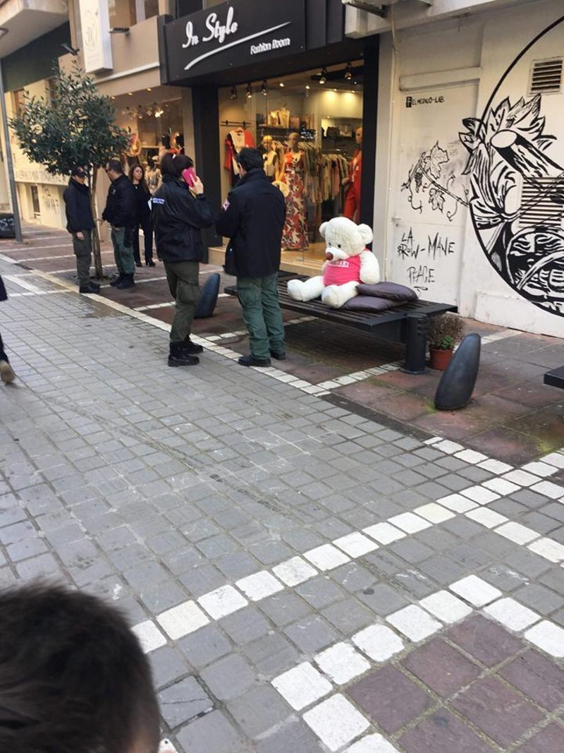 Γιάννενα: Η Δημοτική Αστυνομία συνέλαβε έναν λούτρινο αρκούδο -Για «καταλήψη» σε παγκάκι [εικόνες] | iefimerida.gr 1