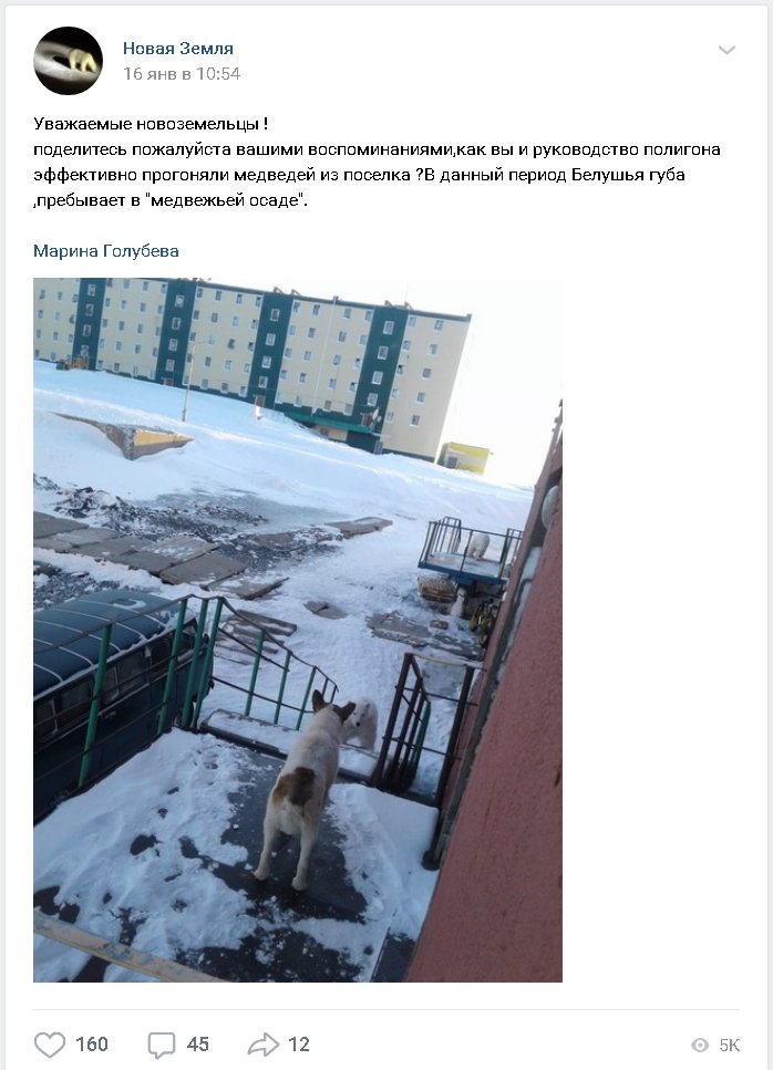 Πολικές αρκούδες σκορπούν τον τρόμο στη Ρωσία -Εισβάλλουν σε σπίτια, κυνηγούν ανθρώπους [εικόνες & βίντεο] | iefimerida.gr 0