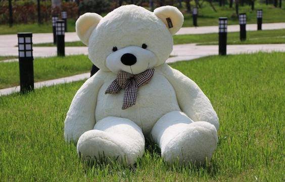 Αυτός ο αρκούδος έγινε viral για έναν «τρομακτικό» λόγο [εικόνες] | iefimerida.gr 0