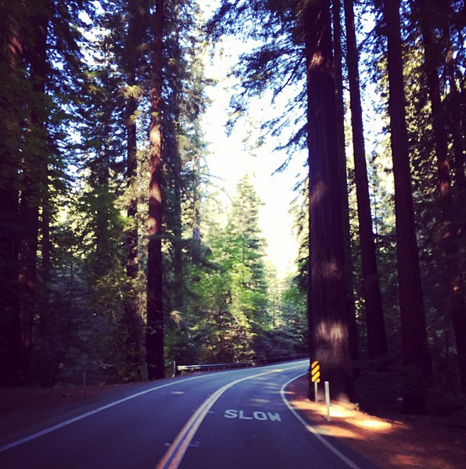 Ο γοητευτικός Αμερικάνος που παράτησε την καριέρα του και δημιούργησε ένα πρωτόγνωρο κίνημα νέων, ρομαντικών νομάδων στις ΗΠΑ [εικόνες] | iefimerida.gr 8