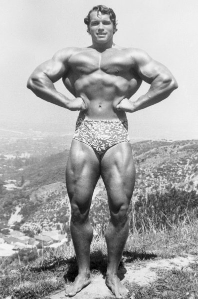 O Aρνολντ Σβαρτσενέγκερ επέστρεψε στο bodybuilding -Κάνει τηλεοπτική σειρά [εικόνες] | iefimerida.gr 0