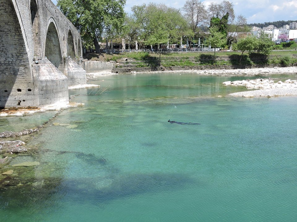 Δύτης βουτά και φωτογραφίζει τα βάθρα του θρυλικού γεφυριού της Αρτας [εικόνες] | iefimerida.gr 1
