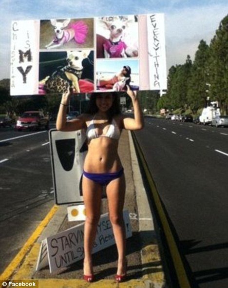 Πέταξε τα ρούχα της για να βρει το σκυλάκι της [βίντεο, εικόνες] | iefimerida.gr 0