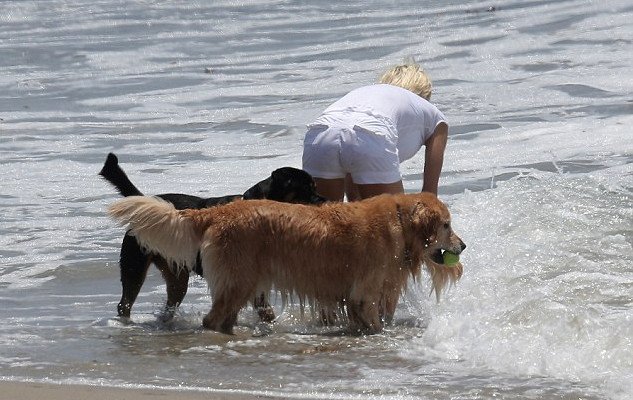 H Πάμελα Αντερσον με τα πόδια ψηλά -Κάνει την παιδούλα στην παραλία [εικόνες] | iefimerida.gr 2