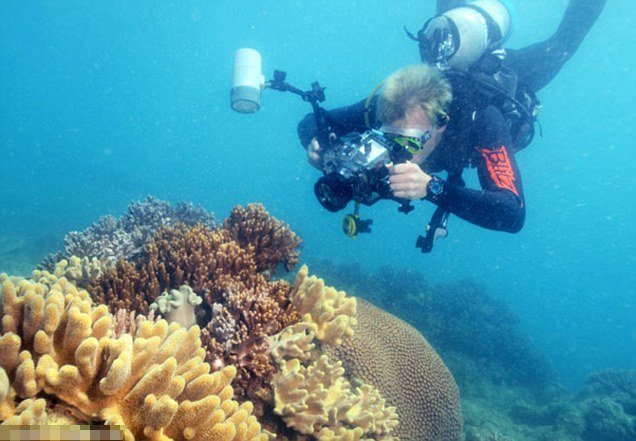 Τι απέγινε ο άντρας με την καλύτερη δουλειά στον κόσμο; [εικόνες] | iefimerida.gr 2