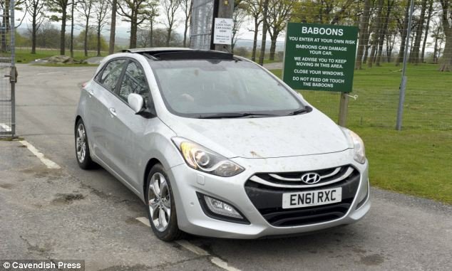 Μπαμπουίνοι έκαναν τεστ αντοχής στο νέο σεντάν της Hyundai [Βίντεο- Εικόνες] | iefimerida.gr 7