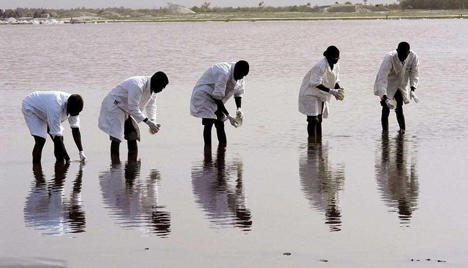 Η λίμνη βάφτηκε φούξια! Εντυπωσιακές φωτογραφίες [εικόνες] | iefimerida.gr 5