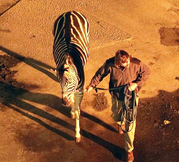 Αστυνομικοί πυροβολούν τον Τζορτζ Μάικλ [εικόνες] | iefimerida.gr 0