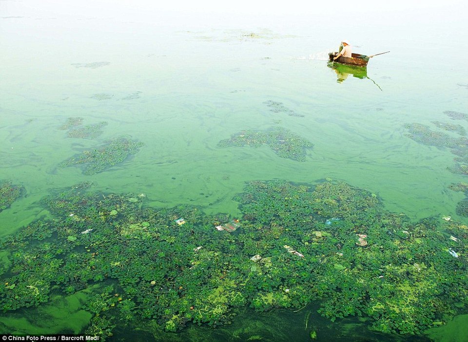 Απίστευτο: Μυστηριώδες παχύ στρώμα σκόνης καταλαμβάνει την πόλη! [εικόνες] | iefimerida.gr 3