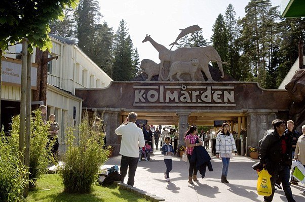 Αγέλη λύκων κατασπαράζει 30χρονη σε δημοφιλή ζωολογικό κήπο [εικόνες] | iefimerida.gr 1