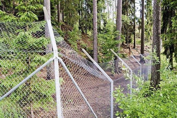 Αγέλη λύκων κατασπαράζει 30χρονη σε δημοφιλή ζωολογικό κήπο [εικόνες] | iefimerida.gr 0