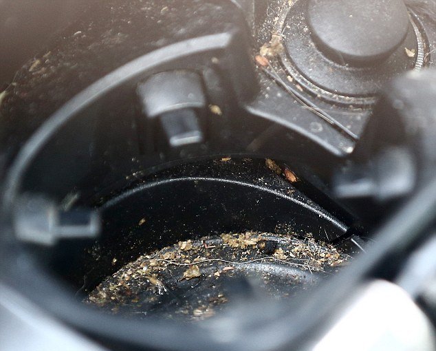 Έπιασαν στάρλετ με μαριχουάνα σε βρώμικη BMW [εικόνες] | iefimerida.gr 4