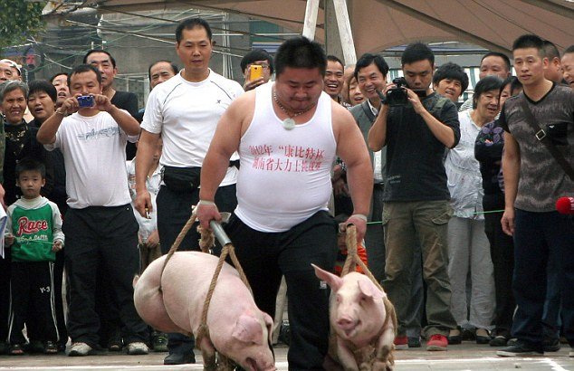 Αρσιβαρίστες σε αγώνα δρόμου-Κουβαλούν ζωντανά γουρούνια 80 κιλών [εικόνες]  | iefimerida.gr 1