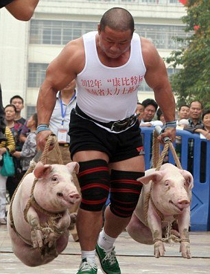 Αρσιβαρίστες σε αγώνα δρόμου-Κουβαλούν ζωντανά γουρούνια 80 κιλών [εικόνες]  | iefimerida.gr 0