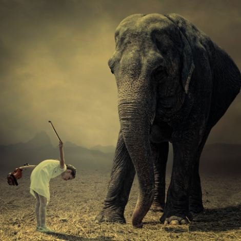 Ελέφαντες ισορροπούν σε ρόδες και τα ψάρια ψαρεύουν- Οταν το photoshop κάνει τέχνη [εικόνες] | iefimerida.gr 9