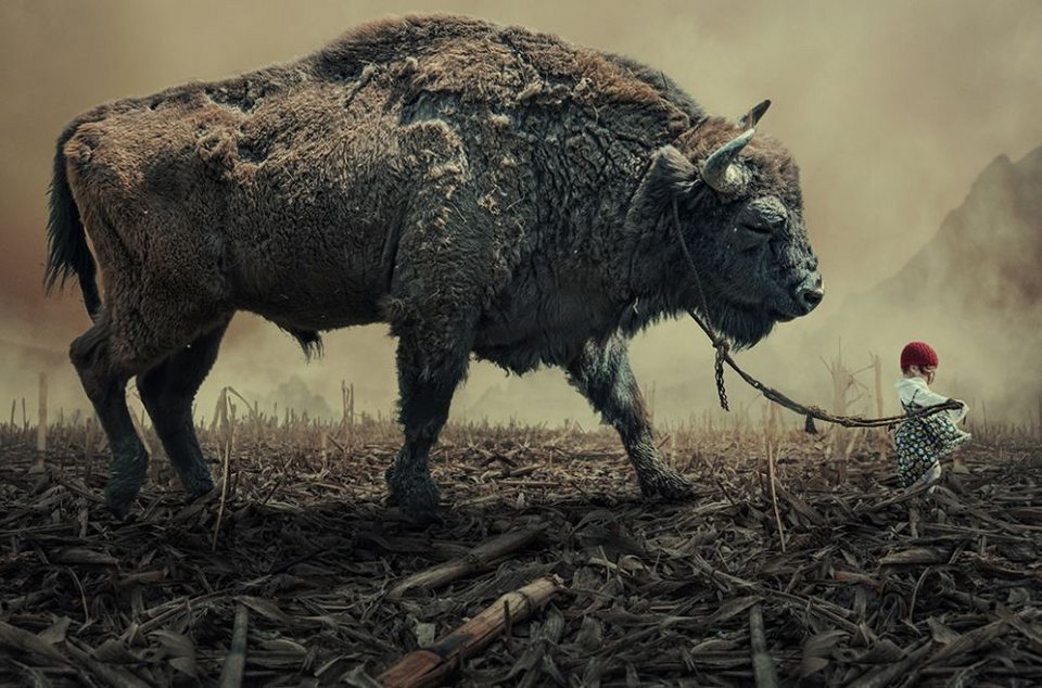 Ελέφαντες ισορροπούν σε ρόδες και τα ψάρια ψαρεύουν- Οταν το photoshop κάνει τέχνη [εικόνες] | iefimerida.gr 6