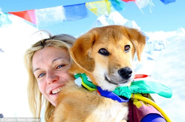 Αυτός είναι ο πρώτος σκύλος που ανέβηκε στο Eβερεστ – Η ιδιοκτήτριά του τον έσωσε από τα σκουπίδια [εικόνες] | iefimerida.gr 1