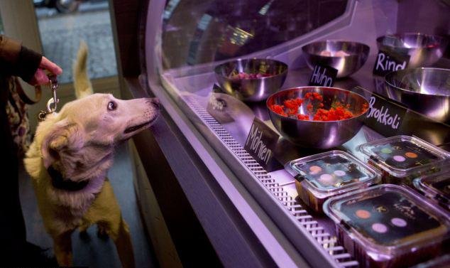 Γκουρμέ εστιατόριο με τετράποδους πελάτες -Ανοιξε στο Βερολίνο για σκύλους και γάτες [εικόνες] | iefimerida.gr 4