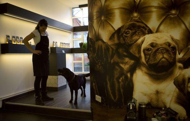 Γκουρμέ εστιατόριο με τετράποδους πελάτες -Ανοιξε στο Βερολίνο για σκύλους και γάτες [εικόνες] | iefimerida.gr 3