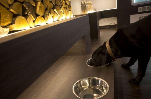 Γκουρμέ εστιατόριο με τετράποδους πελάτες -Ανοιξε στο Βερολίνο για σκύλους και γάτες [εικόνες] | iefimerida.gr 2
