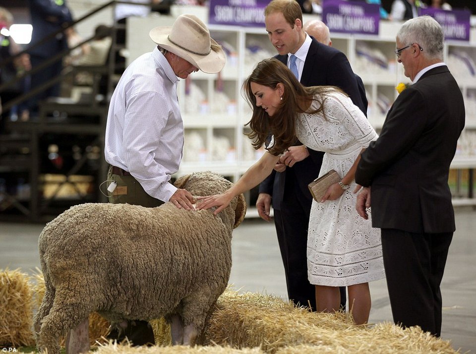 H Μίντλετον σε Πασχαλινό φεστιβάλ του Σίδνεϊ: Αγκαλιάζει αρνιά, πειράζει τον Γουίλιαμ [εικόνες] | iefimerida.gr 1