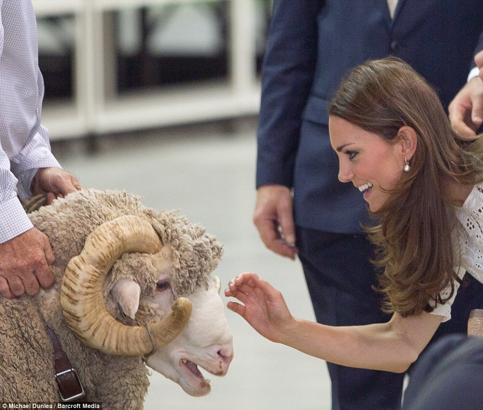 H Μίντλετον σε Πασχαλινό φεστιβάλ του Σίδνεϊ: Αγκαλιάζει αρνιά, πειράζει τον Γουίλιαμ [εικόνες] | iefimerida.gr 0