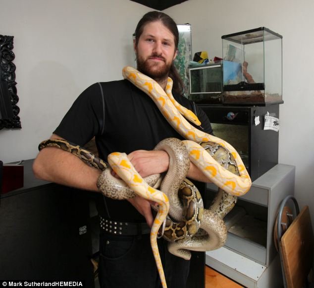 Το εφιαλτικό διαμέρισμα ενός 24χρονου: Ζει με 28 φίδια, 14 σαύρες, τρεις ταραντούλες, πέντε χελώνες και μια σαλαμάνδρα! [εικόνες] | iefimerida.gr 5