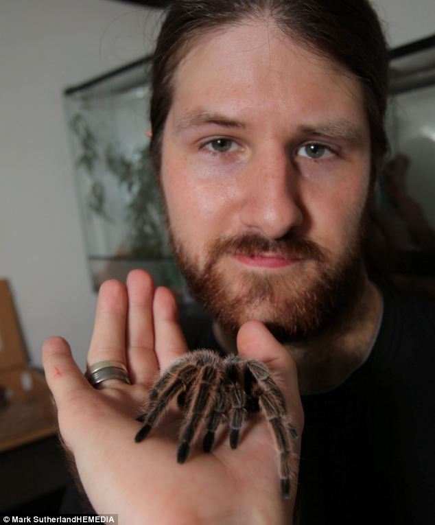 Το εφιαλτικό διαμέρισμα ενός 24χρονου: Ζει με 28 φίδια, 14 σαύρες, τρεις ταραντούλες, πέντε χελώνες και μια σαλαμάνδρα! [εικόνες] | iefimerida.gr 2