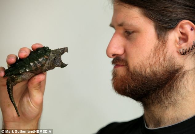 Το εφιαλτικό διαμέρισμα ενός 24χρονου: Ζει με 28 φίδια, 14 σαύρες, τρεις ταραντούλες, πέντε χελώνες και μια σαλαμάνδρα! [εικόνες] | iefimerida.gr 0