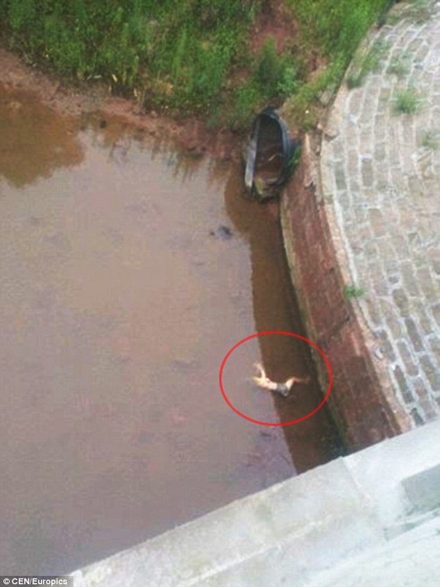 Νεκρή σε ποτάμι βρέθηκε τηλεπαρουσιάστρια στην Κίνα: Την μαχαίρωσαν γιατί δεν είχε χρήματα [εικόνες] | iefimerida.gr 0