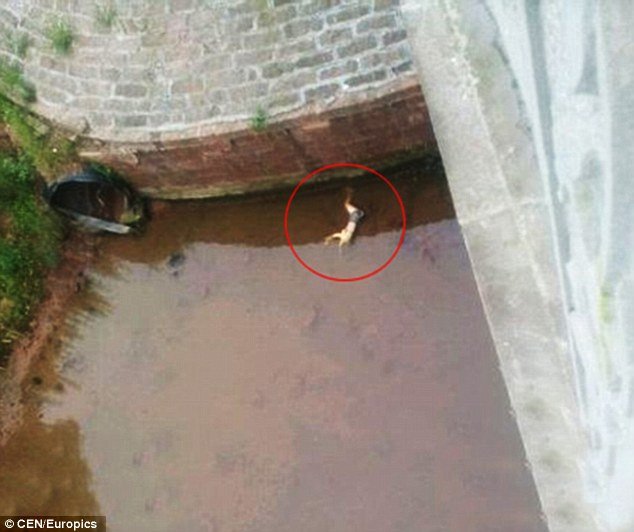 Νεκρή σε ποτάμι βρέθηκε τηλεπαρουσιάστρια στην Κίνα: Την μαχαίρωσαν γιατί δεν είχε χρήματα [εικόνες] | iefimerida.gr 1