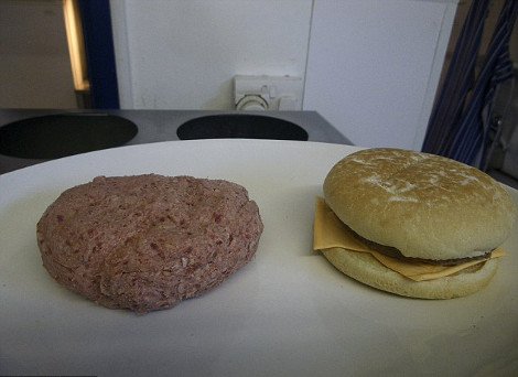 Αυτό το μπέργκερ ποιος θα το φάει; Το αηδιαστικό τριώροφο «τέρας» που έχει 2,3 κιλά κρέας και 10.000 θερμίδες [εικόνες] | iefimerida.gr 6