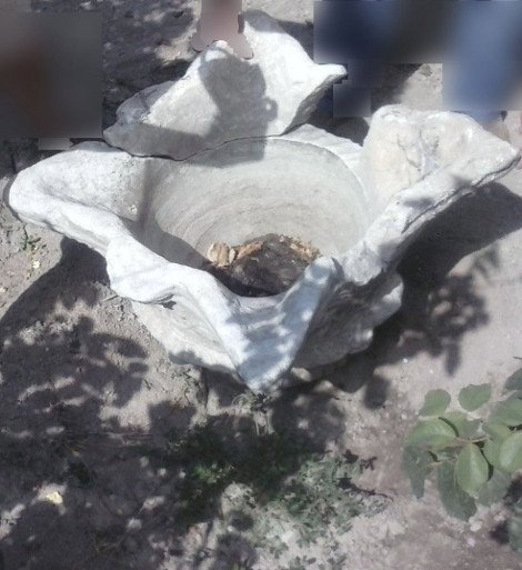 Συνελήφθη αρχαιοκάπηλος στην Ελευσίνα -Τα αντικείμενα χρονολογούνται στους ύστερους μυκηναϊκούς χρόνους [εικόνες] | iefimerida.gr 0