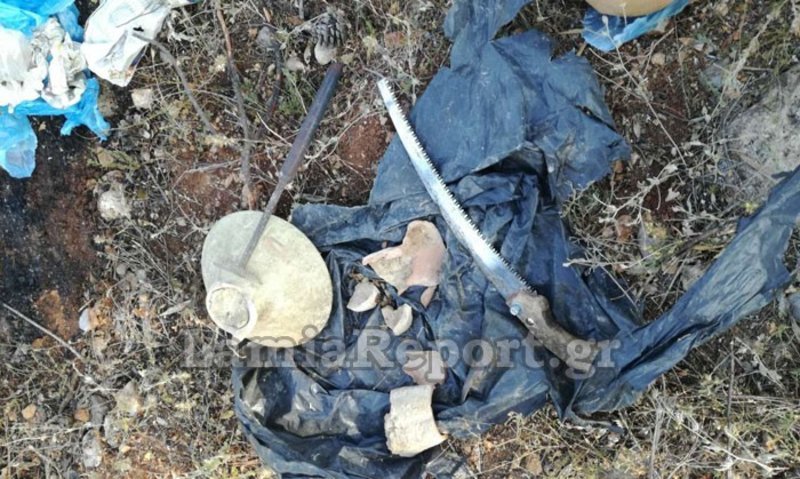 Φθιώτιδα: Η πυρκαγιά αποκάλυψε κρυμμένο αρχαίο θησαυρό! [εικόνες] | iefimerida.gr 3