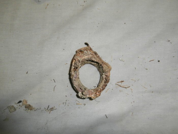 Συνελήφθησαν να ψαρεύουν ενάλιες αρχαιότητες από ρωμαϊκό ναυάγιο στη Μάνη [εικόνες] | iefimerida.gr 1