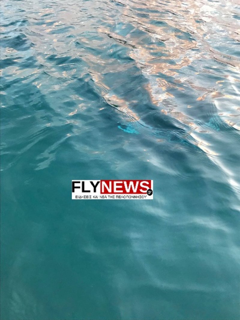 Γύθειο: Βρέθηκε νεκρός ο αγνοούμενος αρχιμανδρίτης [εικόνες] | iefimerida.gr 0