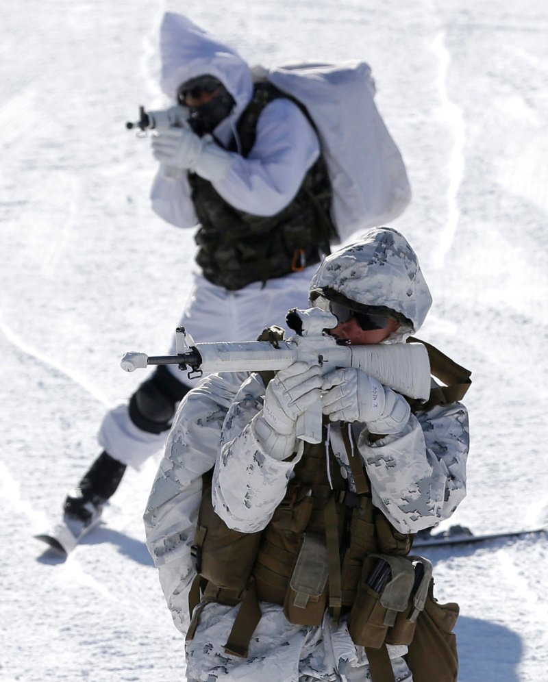 Γυμνοί στα χιόνια: Αμερικανοί και Νοτιοκορεάτες πεζοναύτες κάνουν ασκήσεις σε πολικές θερμοκρασίες [εικόνες] | iefimerida.gr 5