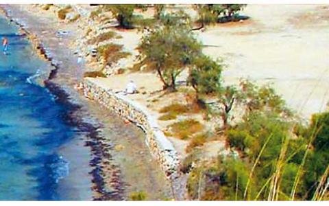 «Γιαπί» αρχαιολογικός χώρος στην Αίγινα - Μπουλντόζες ισοπέδωσαν δέντρα για να μπουν ομπρέλες [εικόνες] | iefimerida.gr 0