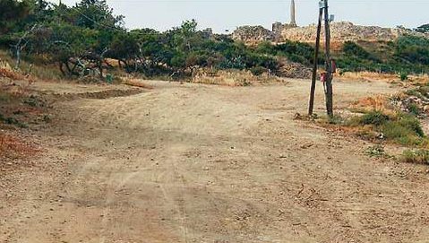 «Γιαπί» αρχαιολογικός χώρος στην Αίγινα - Μπουλντόζες ισοπέδωσαν δέντρα για να μπουν ομπρέλες [εικόνες] | iefimerida.gr 1