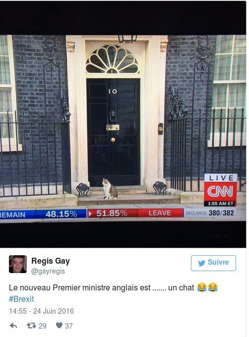 Brexit: Οι πιο αστείες αντιδράσεις μετά την απόφαση για έξοδο από την ΕΕ [εικόνες+βίντεο] | iefimerida.gr 0