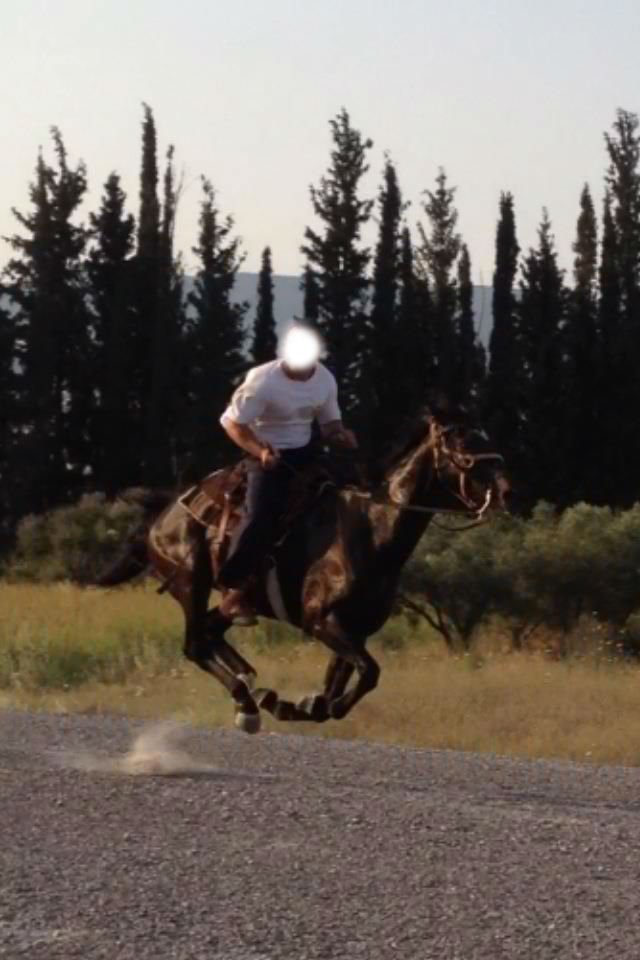 Υπόθεση Καλλίτση: Το Facebook πρόδωσε τον αστυνομικό -Χλιδάτη ζωή, γιοτ, γρήγορα αμάξια [εικόνες] | iefimerida.gr 5