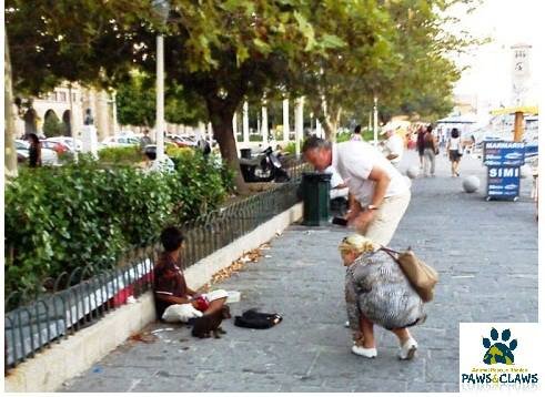 Φιλοζωικός σύλλογος στη Ρόδο καταγγέλλει: Να μπει τέλος στα ναρκωμένα κουτάβια των ανήλικων αθίγγανων  [εικόνα] | iefimerida.gr 0