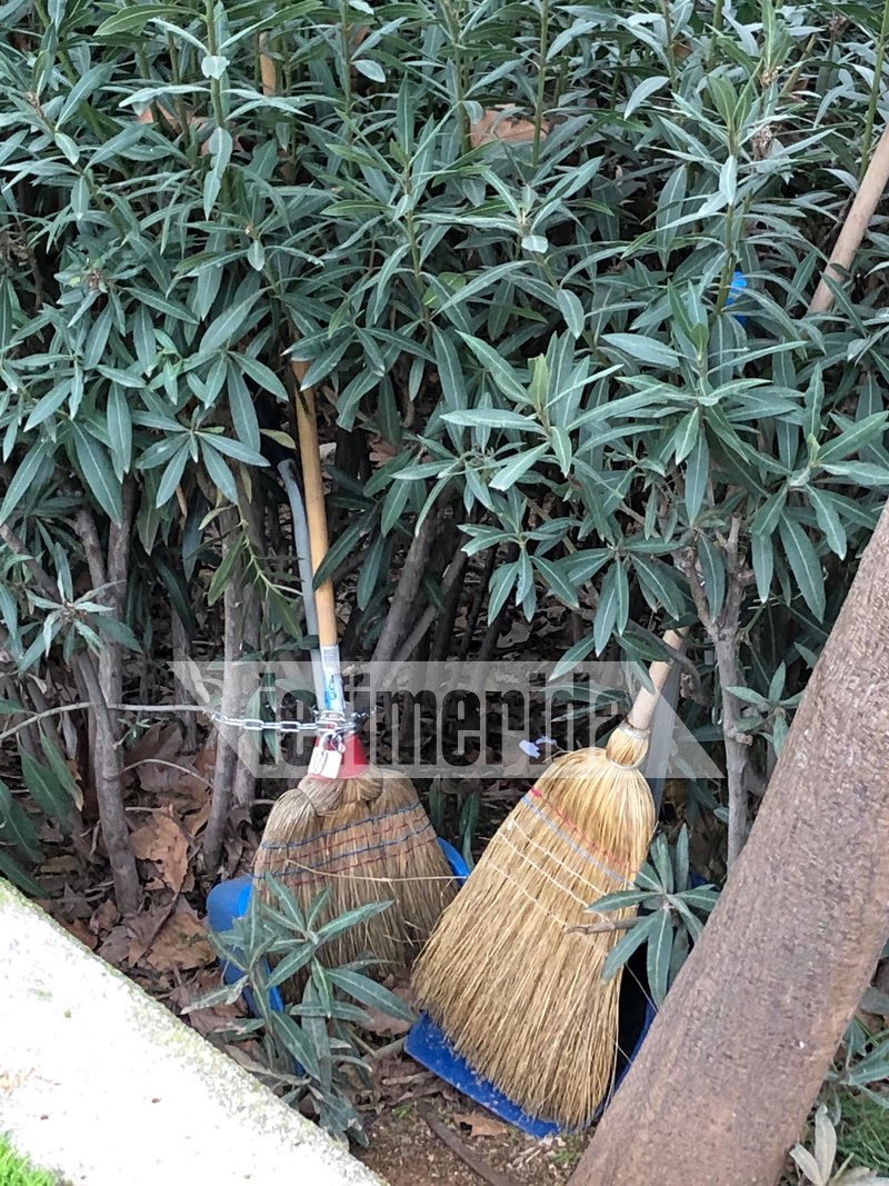 Δύο εικόνες από την Ελλάδα του 2019, στο κέντρο της Αθήνας [εικόνες] | iefimerida.gr 3