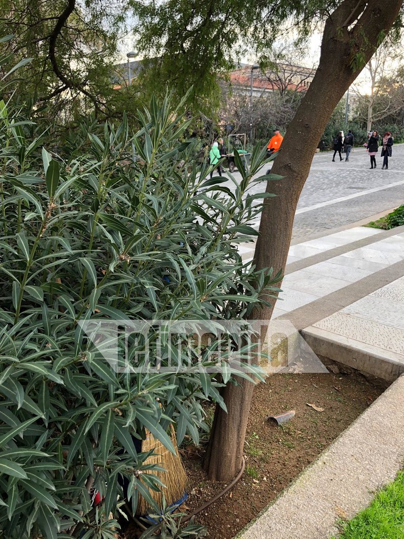 Δύο εικόνες από την Ελλάδα του 2019, στο κέντρο της Αθήνας [εικόνες] | iefimerida.gr 1